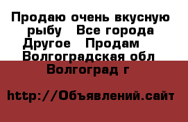 Продаю очень вкусную рыбу - Все города Другое » Продам   . Волгоградская обл.,Волгоград г.